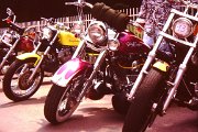 11 Raduno Harley Davidson e Auto Americane.JPG
