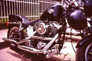 3 Raduno Harley Davidson e Auto Americane.JPG